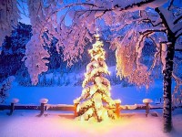 Weihnachtswünsche