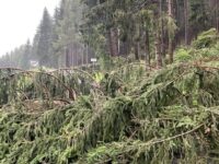 UNWETTER